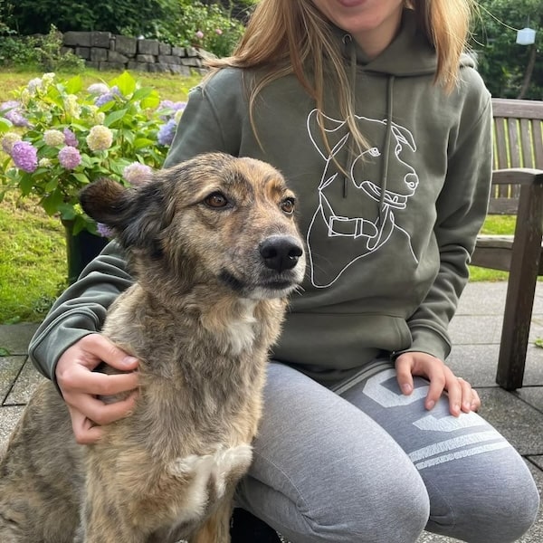 Embroidered khaki hoodie with a real dog next to the hoodie, post by @miroar_de